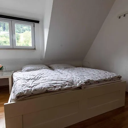 Ferienhaeuser Bergfreiheit 3* ווינטרברג